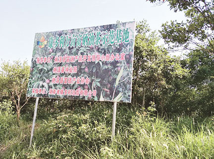 钱柜qg777(中国区)唯一官方网站