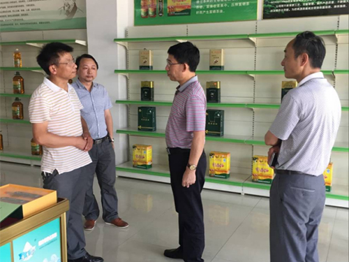 钱柜qg777,油茶种植出产加工销售,植物油种植出产加工销售