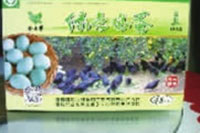 钱柜qg777,油茶种植出产加工销售,植物油种植出产加工销售