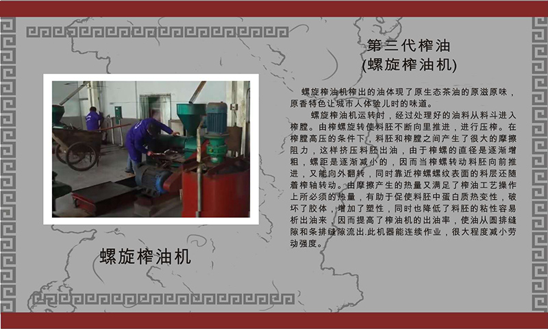 钱柜qg777,油茶种植出产加工销售,植物油种植出产加工销售