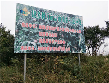 钱柜qg777,油茶种植出产加工销售,植物油种植出产加工销售